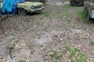 21072 Patricia Ln, New Caney, TX 77357 - Photo 3