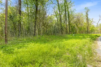 Tbd County Road 2859 Phantom Drive, Cleveland, TX 77327 - Photo 3