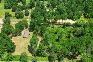 6439 County Rd 302, Navasota, TX 77868 - Photo 27