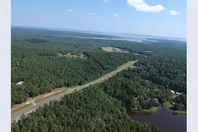 292 Bill Stickley Road, Zavalla, TX 75980 - Photo 29