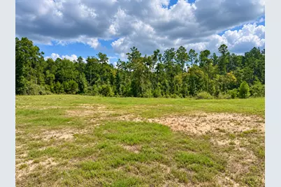 292 Bill Stickley Road, Zavalla, TX 75980 - Photo 23