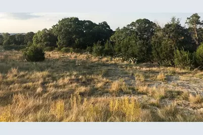 113 Enigma Avenue, Spring Branch, TX 78070 - Photo 3