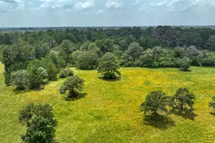 4749 Hwy 36 N, Bellville, TX 77418 - Photo 1