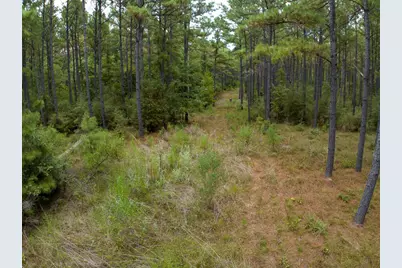 8330 Fm 355, Trinity, TX 75862 - Photo 13