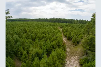 8330 Fm 355, Trinity, TX 75862 - Photo 25