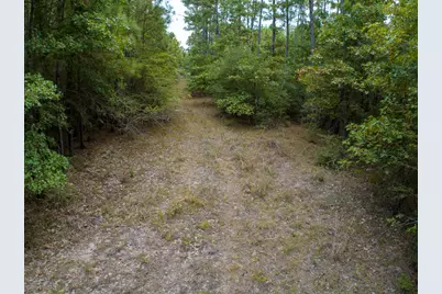 8330 Fm 355, Trinity, TX 75862 - Photo 5