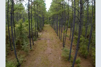8330 Fm 355, Trinity, TX 75862 - Photo 11