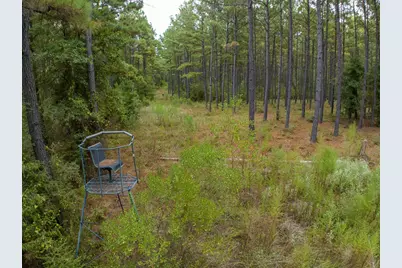 8330 Fm 355, Trinity, TX 75862 - Photo 17