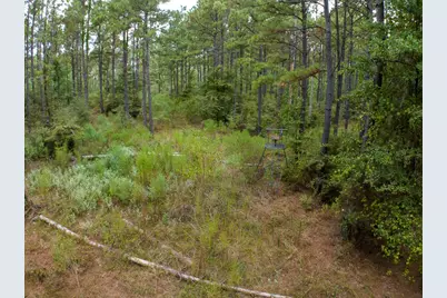8330 Fm 355, Trinity, TX 75862 - Photo 15