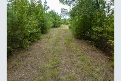 8330 Fm 355, Trinity, TX 75862 - Photo 23
