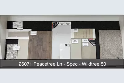 26071 Peacetree Lane, Magnolia, TX 77316 - Photo 5