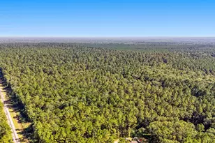 0 Simmons Bottom Rd, Dayton, TX 77535 - Photo 1