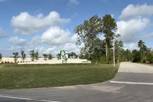 31408 Pratola Serra Cir, Huffman, TX 77336 - Photo 17