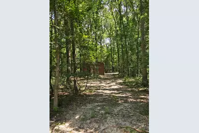9 Bridges Road, Corrigan, TX 75939 - Photo 13