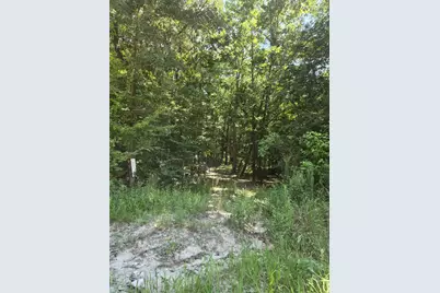 9 Bridges Road, Corrigan, TX 75939 - Photo 5