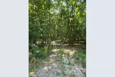 9 Bridges Road, Corrigan, TX 75939 - Photo 11