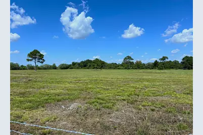 7782 County Road 203, Liverpool, TX 77577 - Photo 5