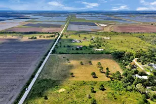 7782 County Rd 203, Liverpool, TX 77577 - Photo 15