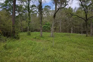 50G Jock St, Livingston, TX 77351 - Photo 1