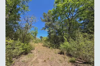 10 Ac Cr 2926, Buffalo, TX 75831 - Photo 13