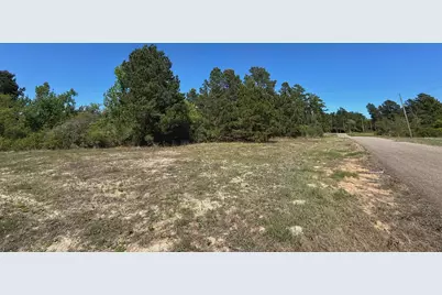10 Ac Cr 2926, Buffalo, TX 75831 - Photo 15
