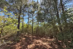 10 Ac Cr 2926, Buffalo, TX 75831 - Photo 1