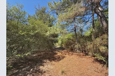 10 Ac Cr 2926, Buffalo, TX 75831 - Photo 11