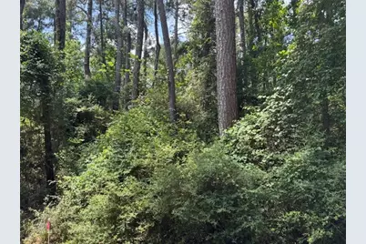 Tbd04 Doral, Trinity, TX 75862 - Photo 3