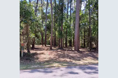 Tbd04 Doral, Trinity, TX 75862 - Photo 1