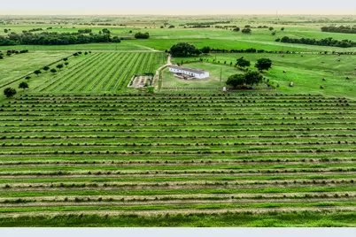 3575 County Road 271, Moulton, TX 77975 - Photo 5