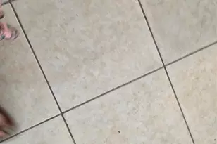 1016 E Tri Oaks Ln, Houston, TX 77043 - Photo 19