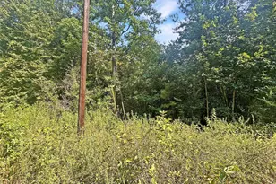 360 Private Rd 6152, Woodville, TX 75979 - Photo 1