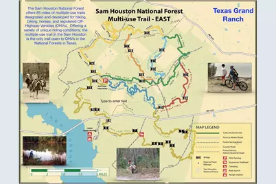 4B-11-8 Sundog Road, Huntsville, TX 77340 - Photo 15