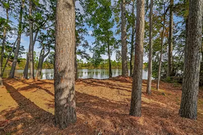 34 Wood Drake Pl, Tomball, TX 77375 - Photo 17