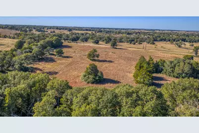 Tbd-6 Greenvine Road, Brenham, TX 77833 - Photo 3