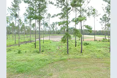 005 Lucky 13 Rd, Livingston, TX 77351 - Photo 11