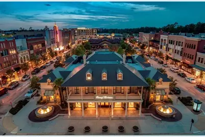 3 Meadow Beauty, The Woodlands, TX 77381 - Photo 31