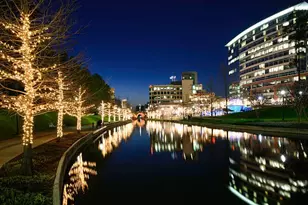 3 Meadow Beauty, The Woodlands, TX 77381 - Photo 33