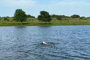 7800 Co Rd 210, Bertram, TX 78605 - Photo 13