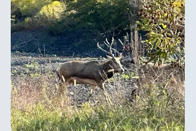 7800 County Road 210, Bertram, TX 78605 - Photo 25