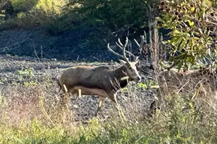 7800 Co Rd 210, Bertram, TX 78605 - Photo 25