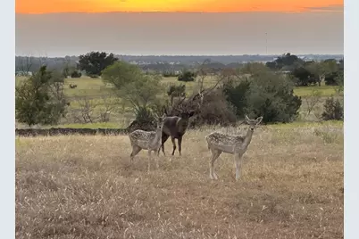 7800 County Road 210, Bertram, TX 78605 - Photo 27