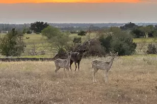 7800 Co Rd 210, Bertram, TX 78605 - Photo 27