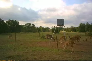 7800 Co Rd 210, Bertram, TX 78605 - Photo 31