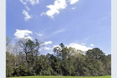 191 Hollow Hill Road, New Waverly, TX 77358 - Photo 5