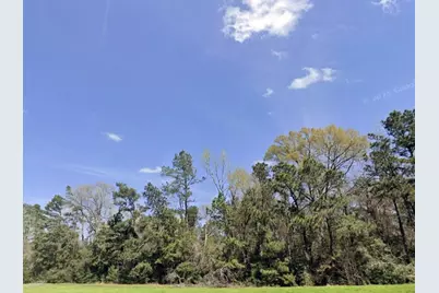 191 Hollow Hill Road, New Waverly, TX 77358 - Photo 7