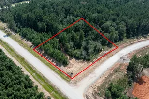15645 Woodlife, Willis, TX 77378 - Photo 3