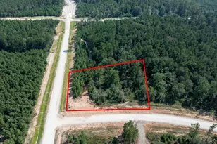 15645 Woodlife, Willis, TX 77378 - Photo 5