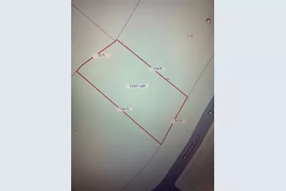 0 Woodlands Drive, Trinity, TX 75862 - Photo 5