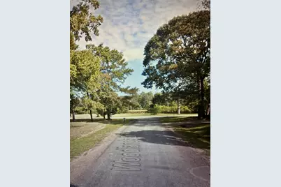 0 Woodlands Drive, Trinity, TX 75862 - Photo 1